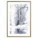 Wall Poster December - winter tree landscape on the road in black and white 124474 additionalThumb 14