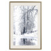 Wall Poster December - winter tree landscape on the road in black and white 124474 additionalThumb 19