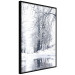 Wall Poster December - winter tree landscape on the road in black and white 124474 additionalThumb 10