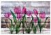 Canvas Art Print Spring Poetry (1-part) wide - tulips on a wooden background 128774