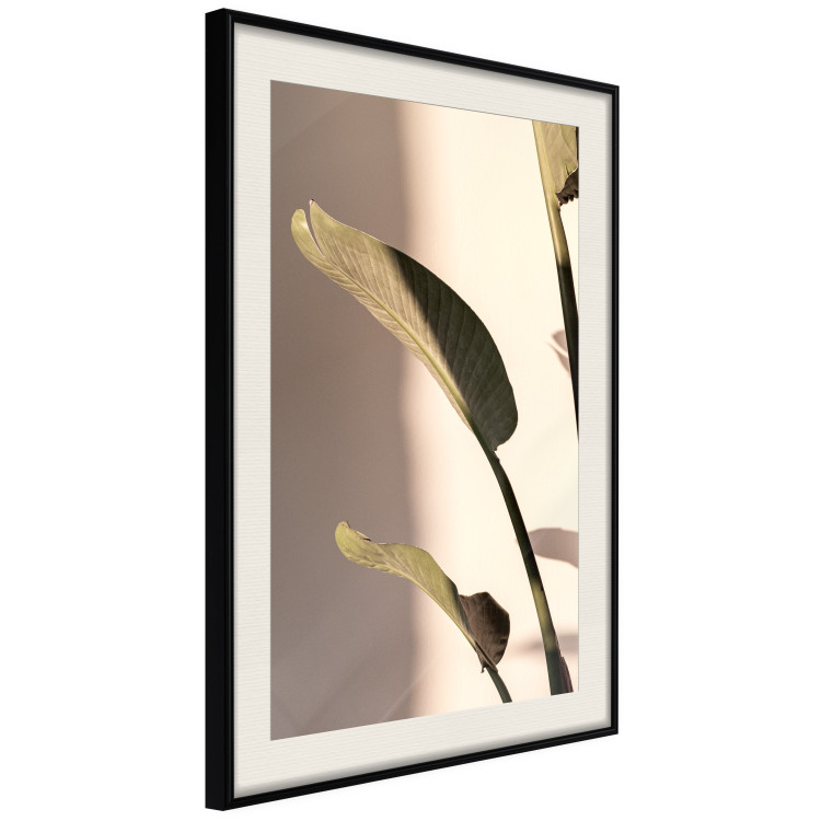 Poster Sunny Rhythm - composition with green plant leaves on a light background 129474 additionalImage 2