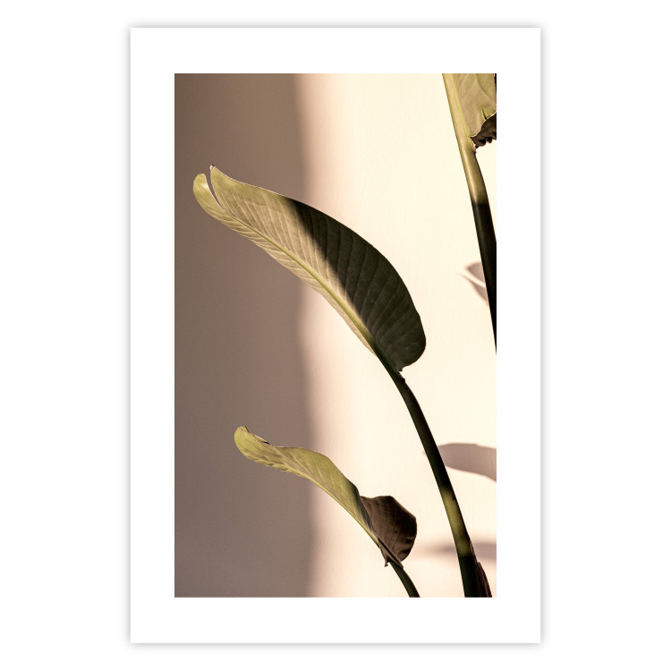 Poster Sunny Rhythm - composition with green plant leaves on a light background 129474 additionalImage 25