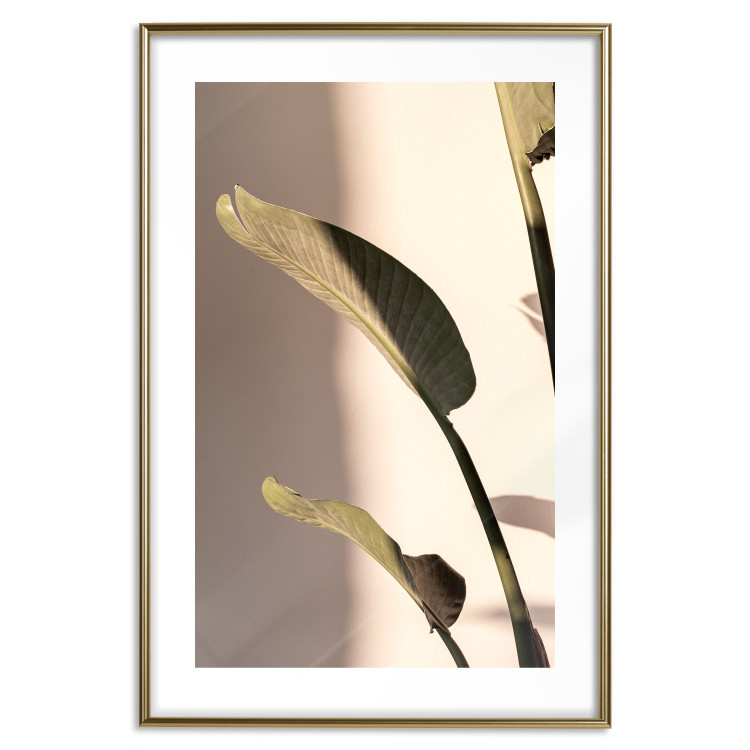 Poster Sunny Rhythm - composition with green plant leaves on a light background 129474 additionalImage 16