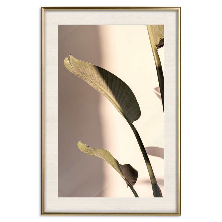 Poster Sunny Rhythm - composition with green plant leaves on a light background 129474 additionalImage 20