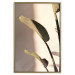 Poster Sunny Rhythm - composition with green plant leaves on a light background 129474 additionalThumb 21