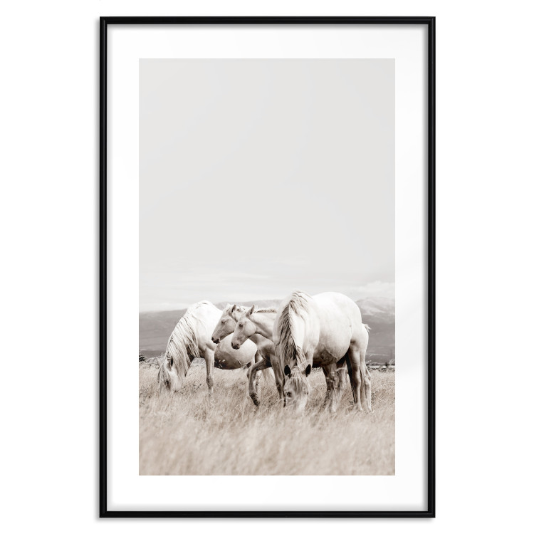 Poster White Horses - autumn composition of animals in a meadow in bright colors 130374 additionalImage 15