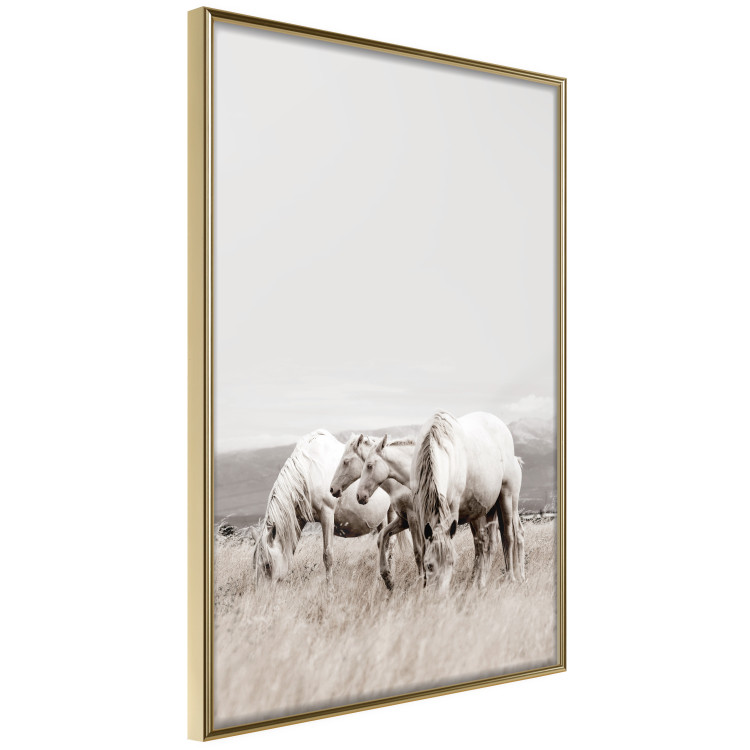 Poster White Horses - autumn composition of animals in a meadow in bright colors 130374 additionalImage 11