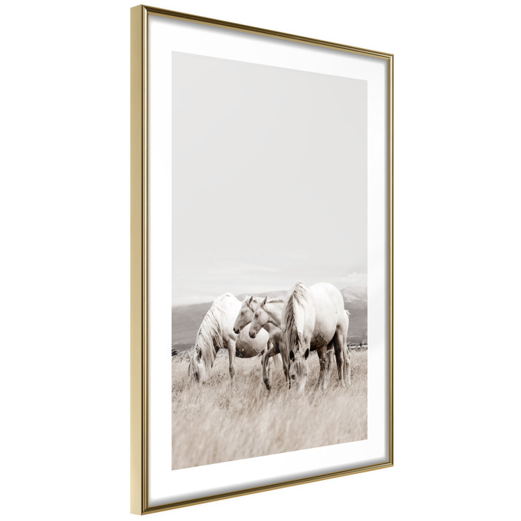 Poster White Horses - autumn composition of animals in a meadow in bright colors 130374 additionalImage 9