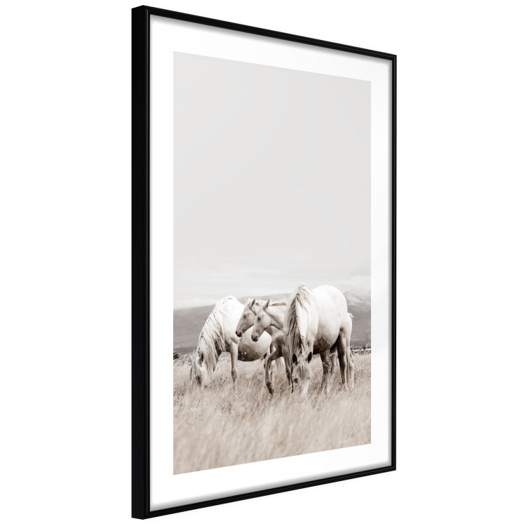 Poster White Horses - autumn composition of animals in a meadow in bright colors 130374 additionalImage 12