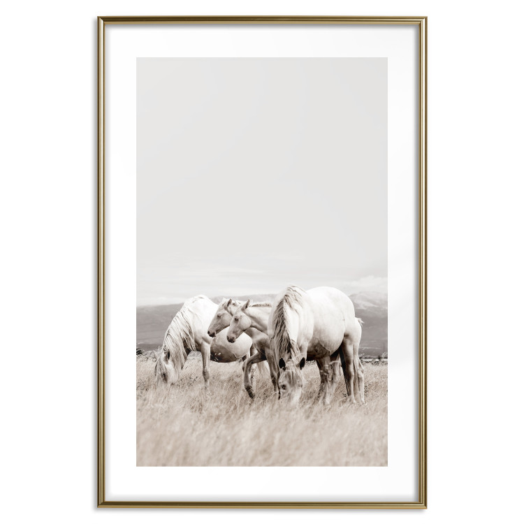 Poster White Horses - autumn composition of animals in a meadow in bright colors 130374 additionalImage 14