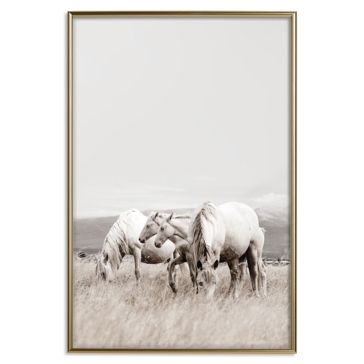 Poster White Horses - autumn composition of animals in a meadow in bright colors 130374 additionalImage 17