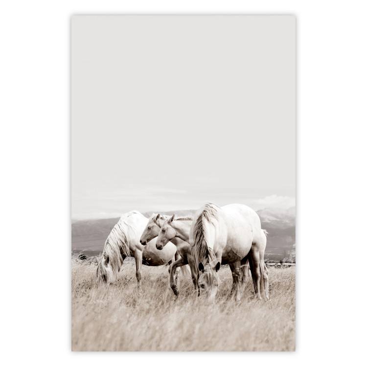 Poster White Horses - autumn composition of animals in a meadow in bright colors 130374