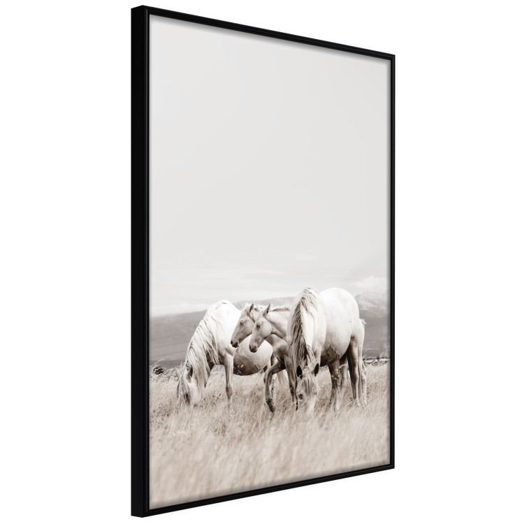 Poster White Horses - autumn composition of animals in a meadow in bright colors 130374 additionalImage 10