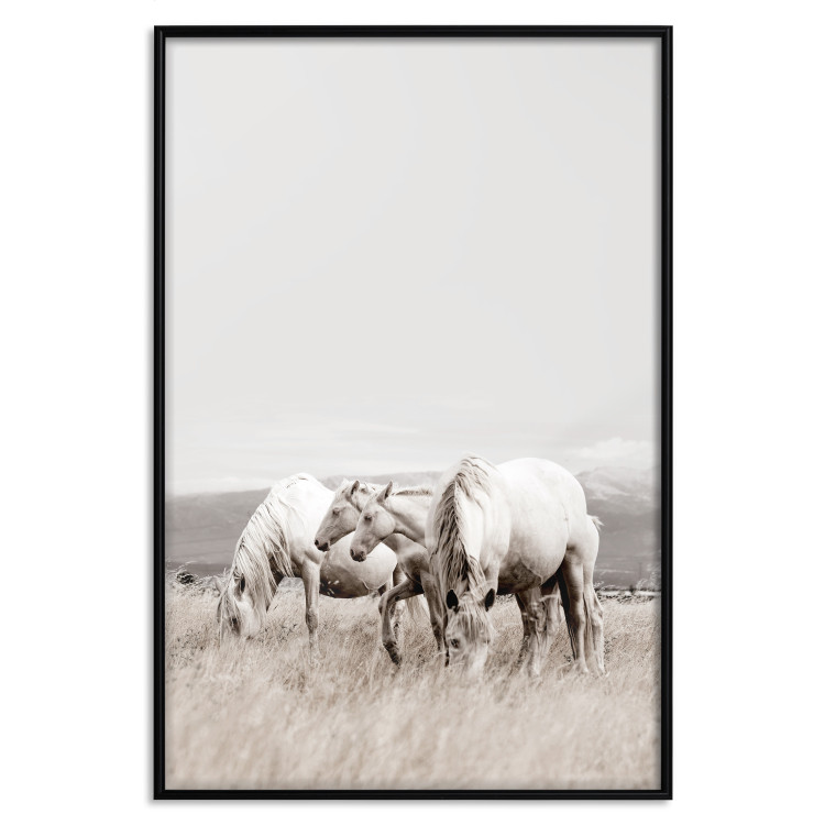 Poster White Horses - autumn composition of animals in a meadow in bright colors 130374 additionalImage 16