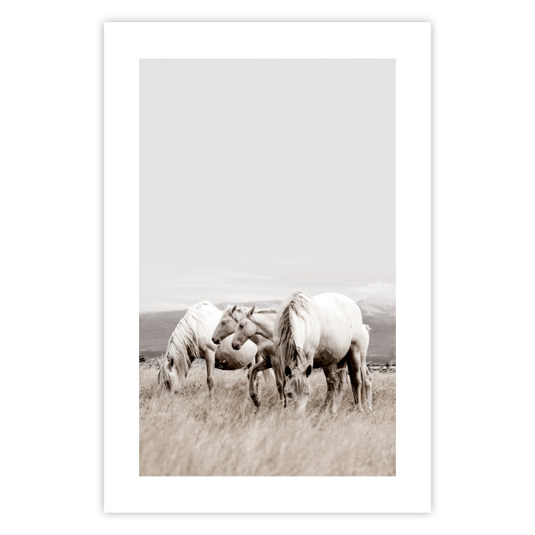 Poster White Horses - autumn composition of animals in a meadow in bright colors 130374 additionalImage 19