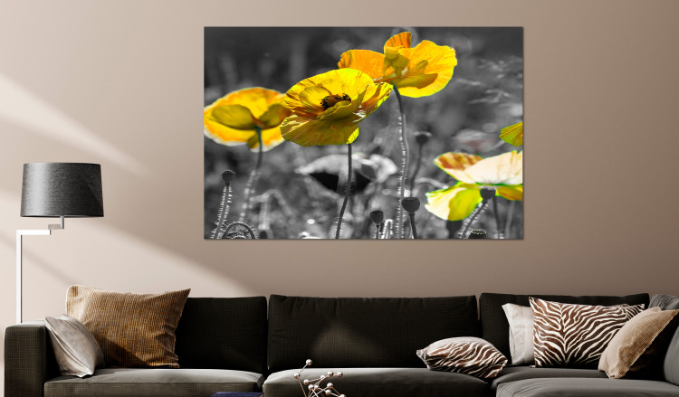 Large canvas print Yellow Poppies [Large Format] 132374 additionalImage 4