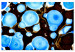 Canvas Print Bio shapes - abstraction in illuminated blue and dark bronze 134674