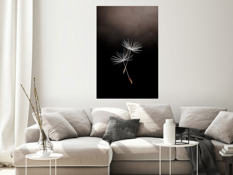 Wall Poster Soaring Moment - delicate white dandelion flowers on a black background 137274 additionalImage 9