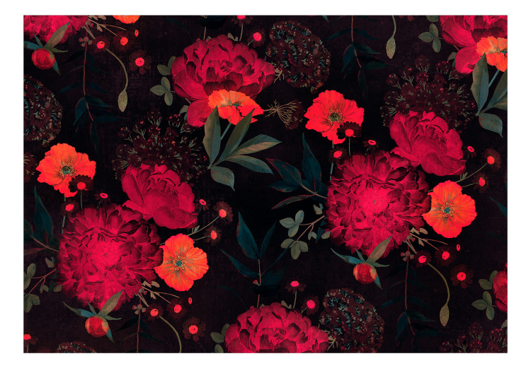Wall Mural Nature - energetic composition of colourful flowers on a black background 143174 additionalImage 1