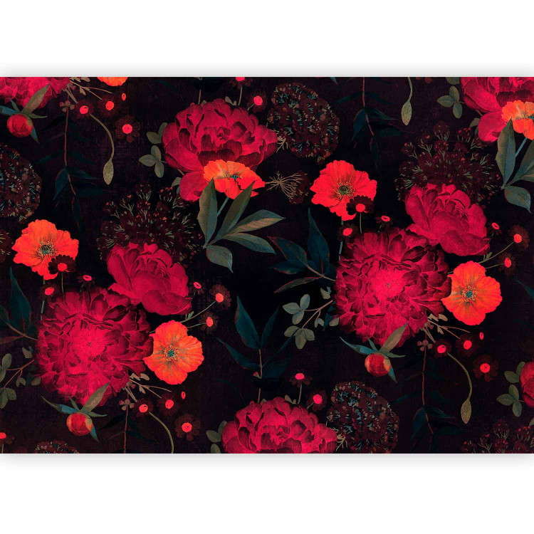 Wall Mural Nature - energetic composition of colourful flowers on a black background 143174 additionalImage 5