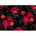 Wall Mural Nature - energetic composition of colourful flowers on a black background 143174 additionalThumb 5