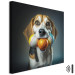 Canvas Print AI Beagle Dog - Portrait of a Animal With Three Balls in Its Mouth - Square 150174 additionalThumb 8