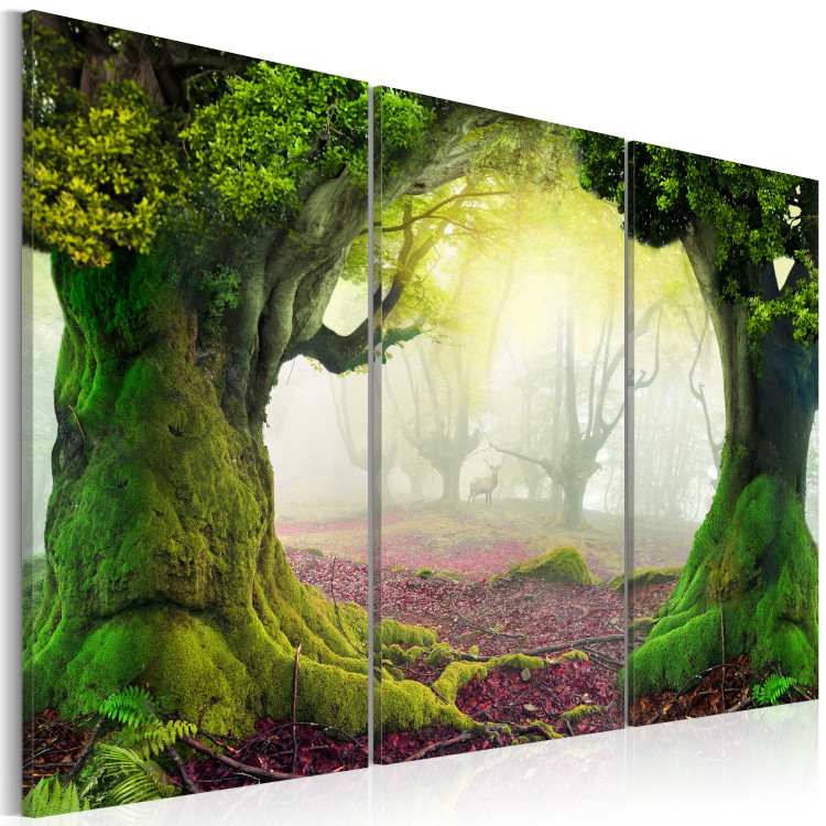 Canvas Art Print Mysterious forest - triptych 58474 additionalImage 2