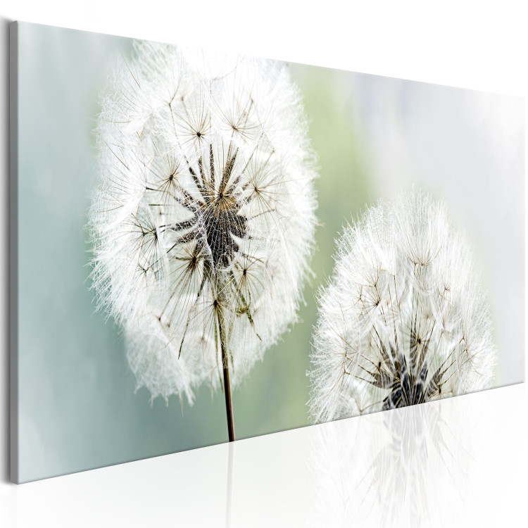 Canvas Print Romantic Summer (1-piece) - Fluffy Dandelions against Nature Background 106184 additionalImage 2