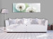 Canvas Print Romantic Summer (1-piece) - Fluffy Dandelions against Nature Background 106184 additionalThumb 3
