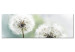 Canvas Print Romantic Summer (1-piece) - Fluffy Dandelions against Nature Background 106184