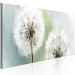 Canvas Print Romantic Summer (1-piece) - Fluffy Dandelions against Nature Background 106184 additionalThumb 2