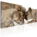 Canvas Art Print Whisper of Love I (5-piece) - Romantic Shot with a Pair of Wild Cats 106584 additionalThumb 2
