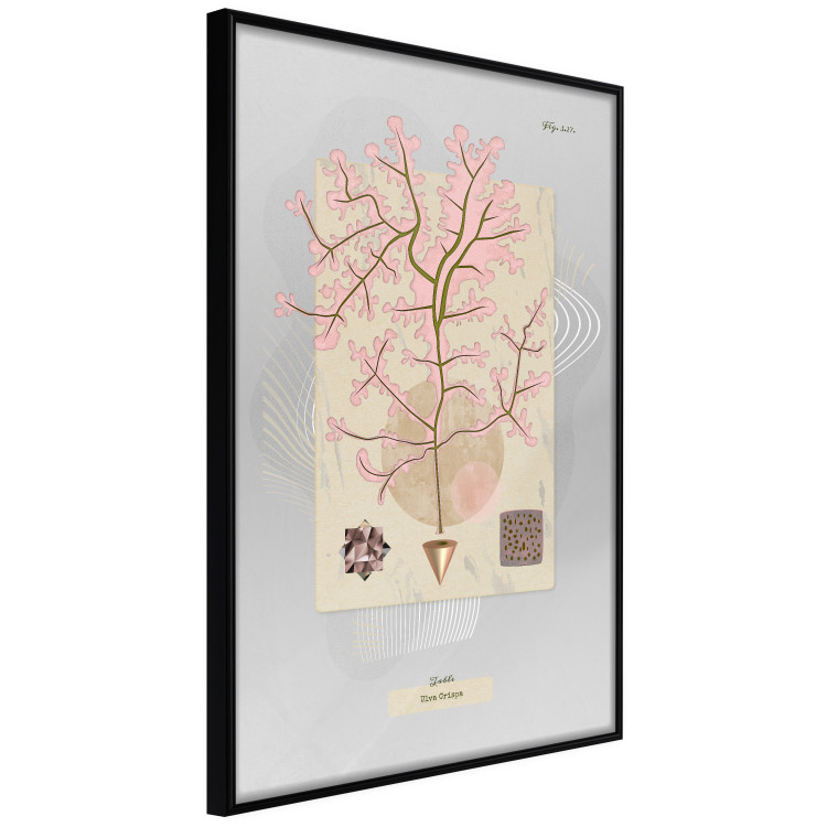 Poster Mysterious Little Tree - abstraction with texts and a plant in pale colors 116884 additionalImage 10