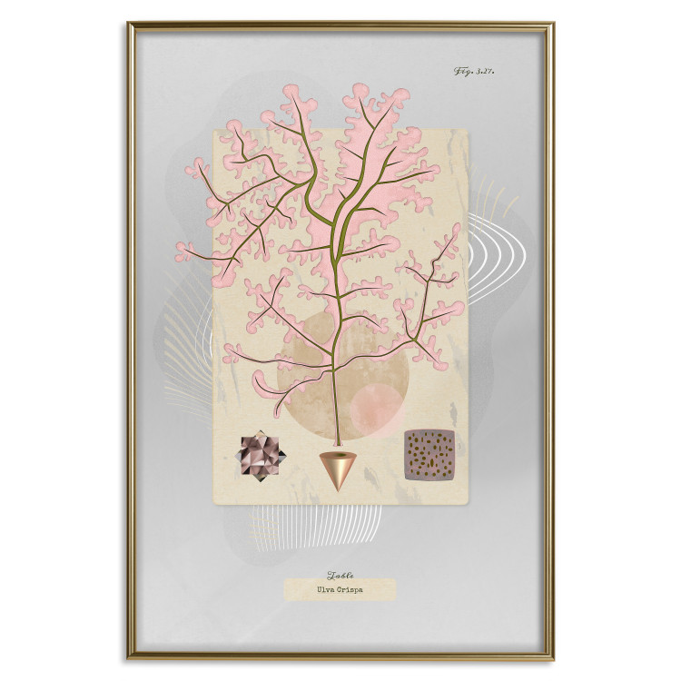 Poster Mysterious Little Tree - abstraction with texts and a plant in pale colors 116884 additionalImage 16