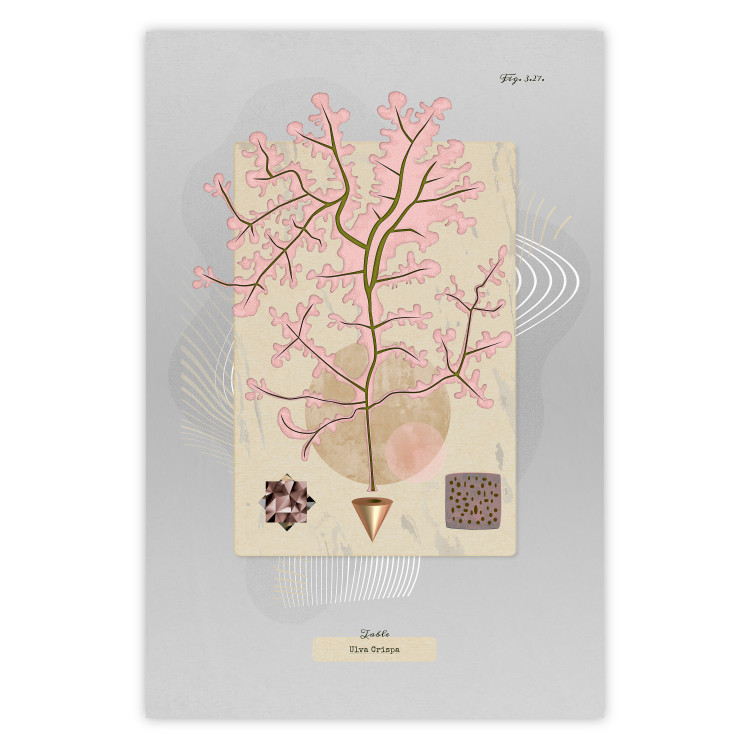 Poster Mysterious Little Tree - abstraction with texts and a plant in pale colors 116884