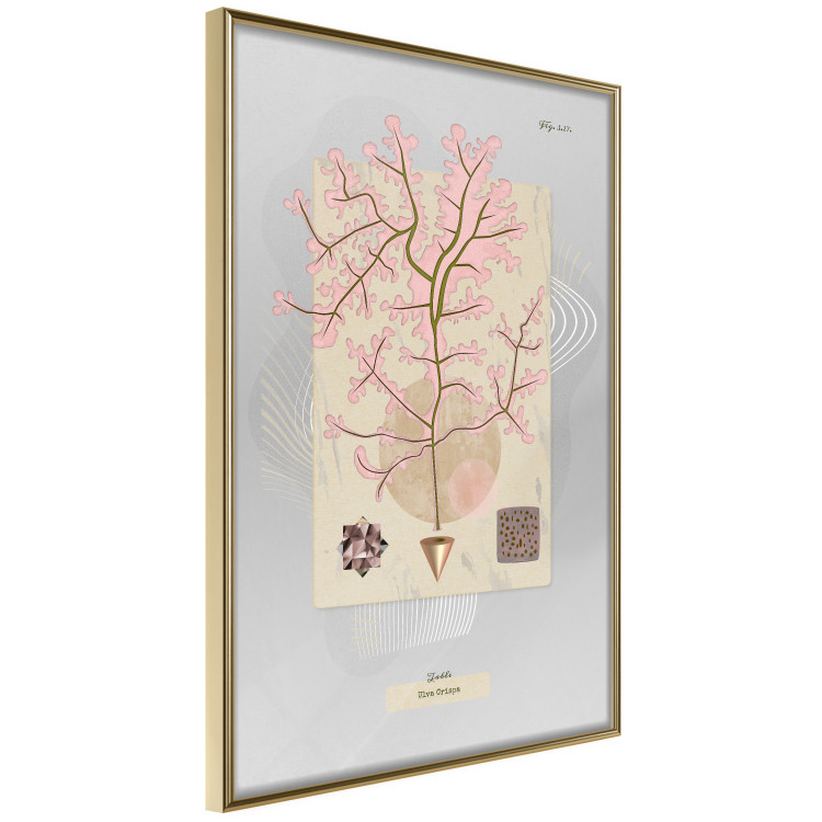 Poster Mysterious Little Tree - abstraction with texts and a plant in pale colors 116884 additionalImage 12