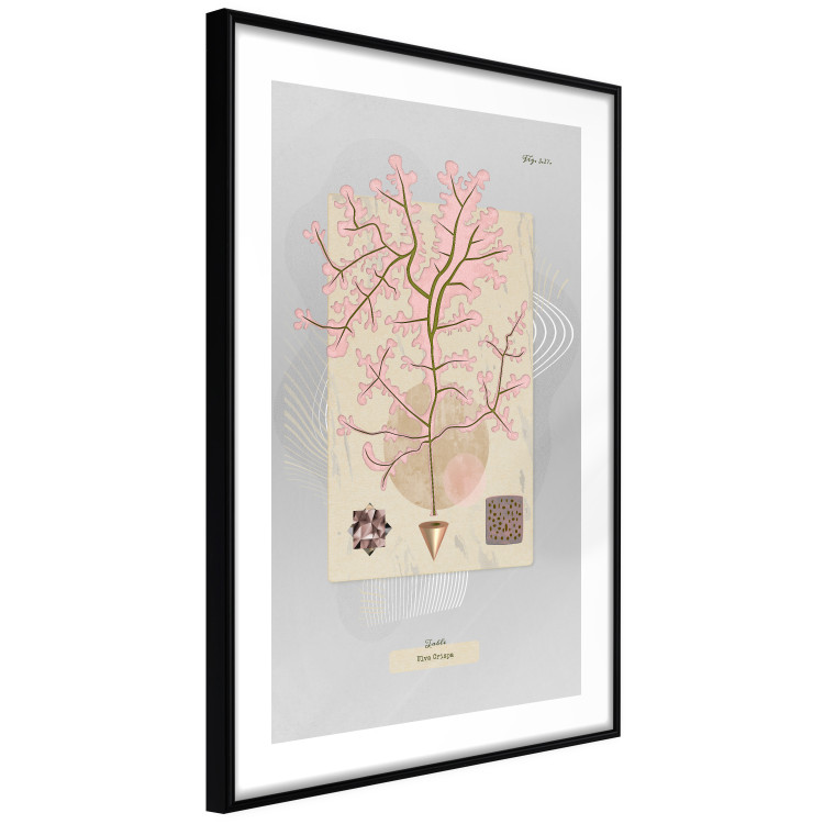 Poster Mysterious Little Tree - abstraction with texts and a plant in pale colors 116884 additionalImage 11