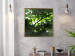 Poster Dawn - green leaves on a tree in the summer season in the middle of the day 122684 additionalThumb 5
