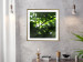 Poster Dawn - green leaves on a tree in the summer season in the middle of the day 122684 additionalThumb 13
