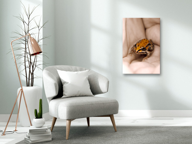 Canvas Print Frog on hands - orange animal in black dots sitting on the hands of an adult man 124384 additionalImage 3