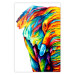 Poster Colorful Elephant - abstract animal in various colors on a white background 126984