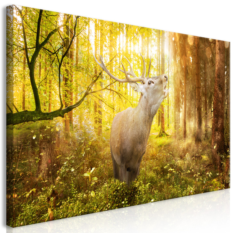 Large canvas print Roar in the Forest II [Large Format] 128684 additionalImage 3