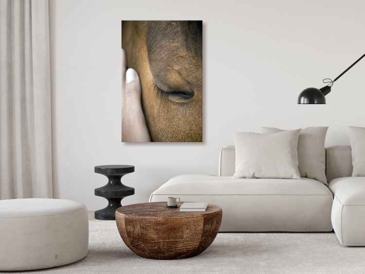 Canvas Print Soothing Touch (1-piece) Vertical - hand stroking a brown horse 130284 additionalImage 3