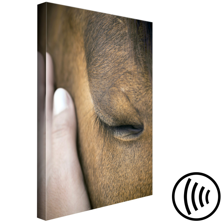 Canvas Print Soothing Touch (1-piece) Vertical - hand stroking a brown horse 130284 additionalImage 6