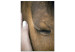 Canvas Print Soothing Touch (1-piece) Vertical - hand stroking a brown horse 130284