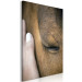 Canvas Print Soothing Touch (1-piece) Vertical - hand stroking a brown horse 130284 additionalThumb 2