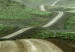 Poster Road Through Plains - landscape of a road and green fields against the sky 130384 additionalThumb 10