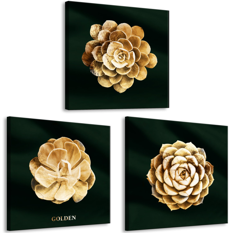 Canvas Print Precious Succulents (3-piece) - golden flowers in glamour motif 135384 additionalImage 2