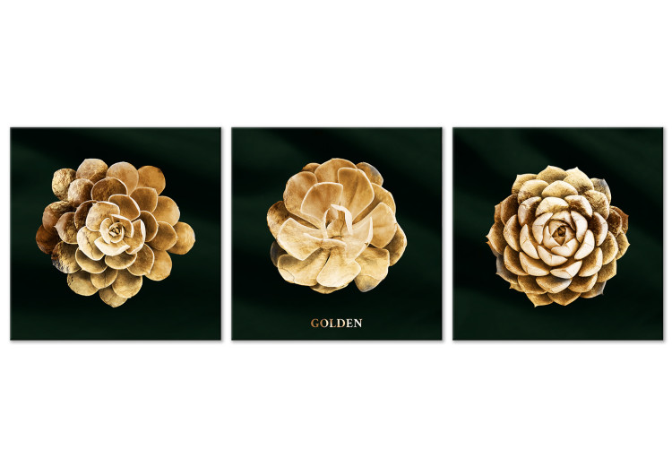 Canvas Print Precious Succulents (3-piece) - golden flowers in glamour motif 135384