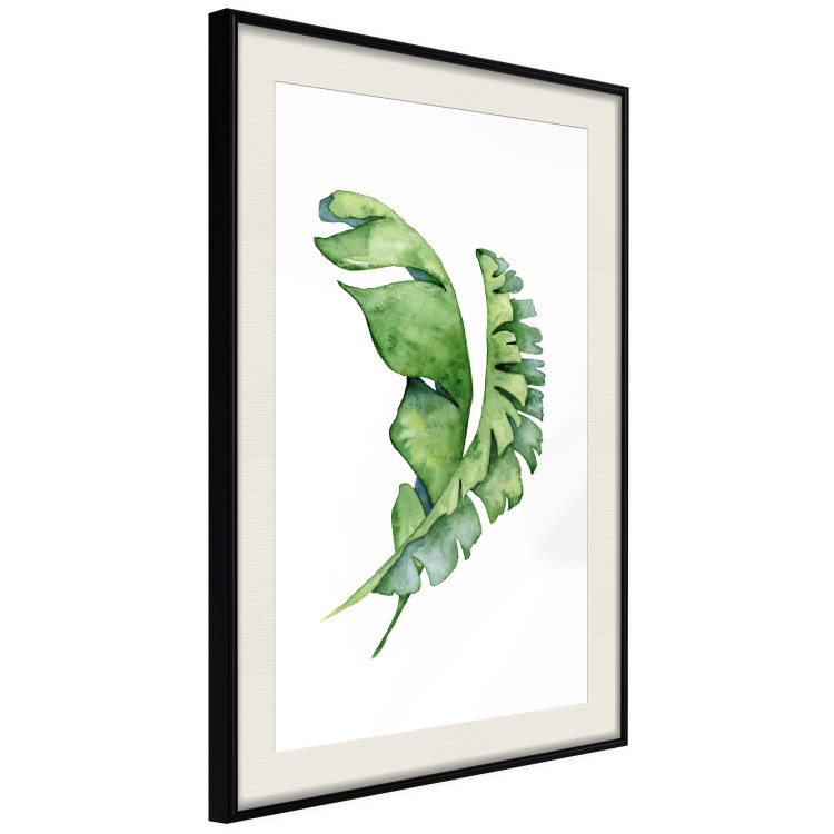 Poster Intertwined Leaves - watercolor composition with green foliage on white 136384 additionalImage 9